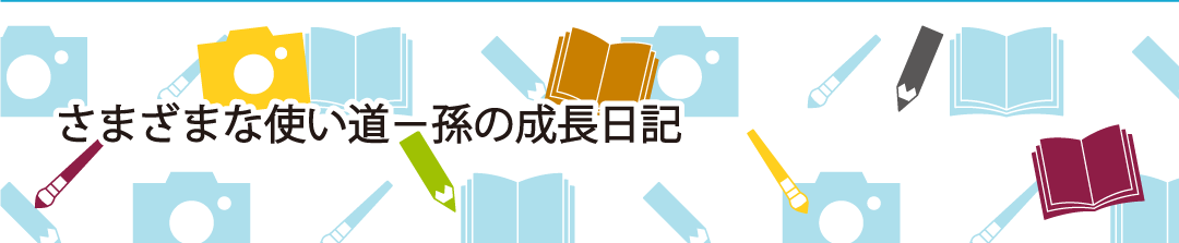 さまざまな使い道