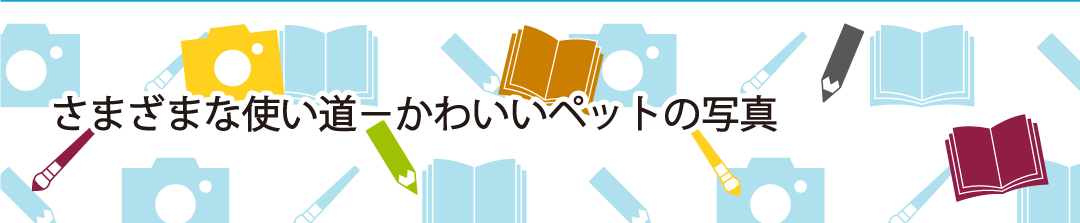 さまざまな使い道